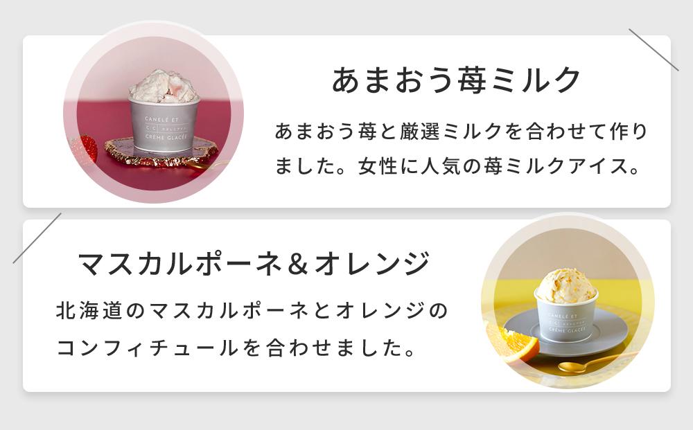 【世界ジェラート騎士手作りの】至福のアイス　８個入り