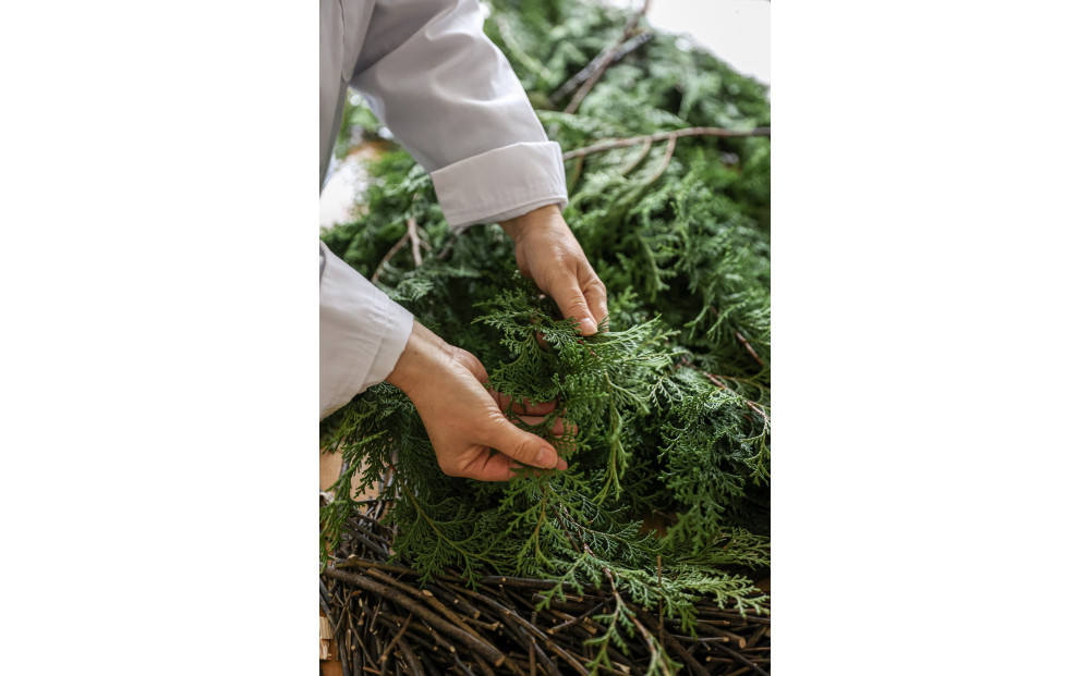 繝偵ヮ繧ュ繝ォ繝シ繝繝輔Ξ繧ー繝ゥ繝ウ繧ケ繝溘せ繝