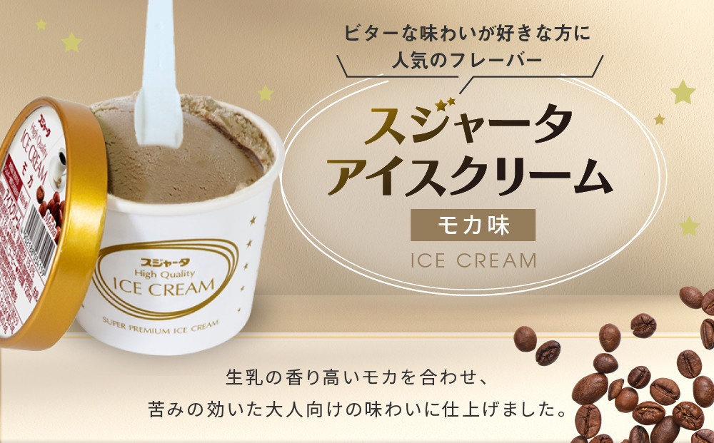 シンカンセンスゴイカタイアイス モカ 11個  | アイス アイスクリーム 新幹線すごいアイス 硬いアイス 詰合せ 濃厚 食べ応え コーヒー風味 人気 おすすめ 冷たいデザート 夏ギフト プレゼント 洋菓子 甘味 おしゃれ