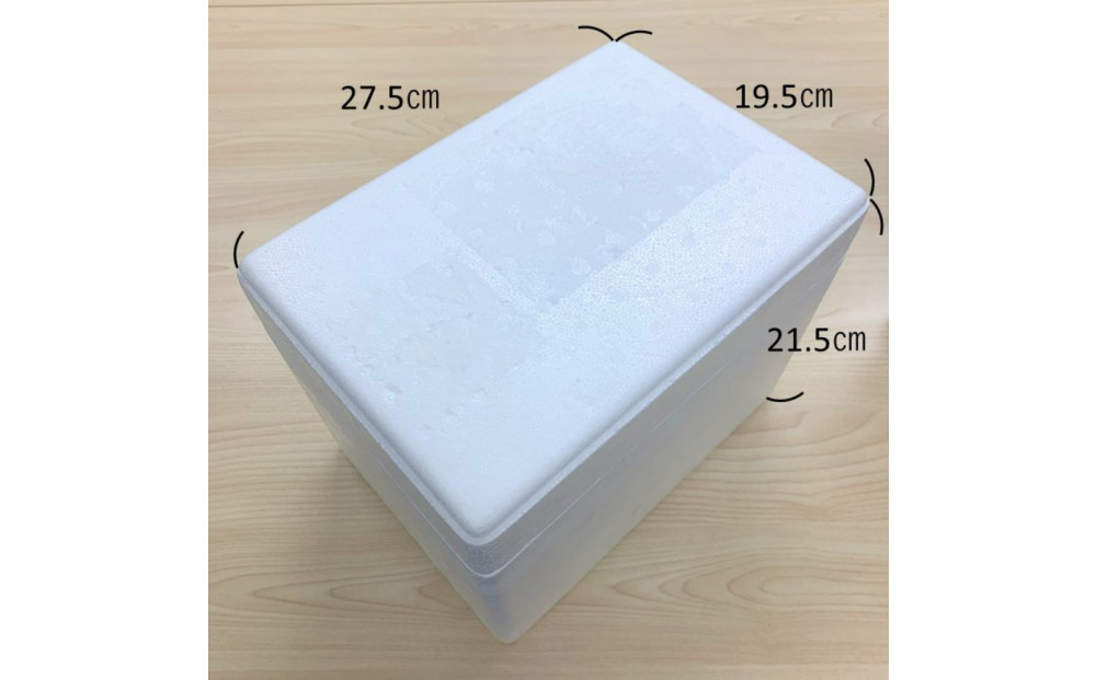 繧キ繝ウ繧ォ繝ウ繧サ繝ウ繧ケ繧エ繧、繧ォ繧ソ繧、繧「繧、繧ケ 繝斐せ繧ソ繝√が 11蛟