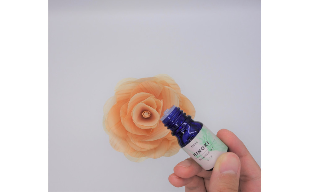 森ã®ããããã²ã®ãã®è±ã®ãã£ãã¥ãŒã¶ãŒ