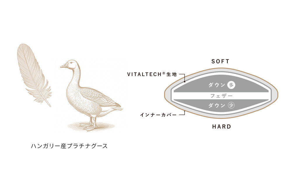 リファ VITALPILLOW PREMIUM SUITE