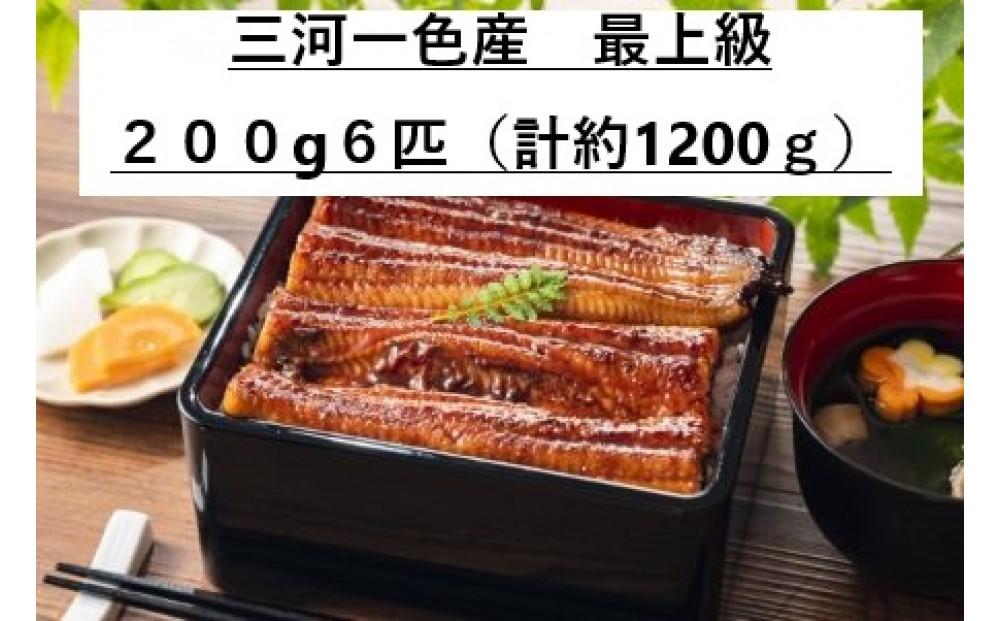 〈三河一色産うなぎ〉超特上6匹（計1200g）老舗　和食　魚兼　国産　高級