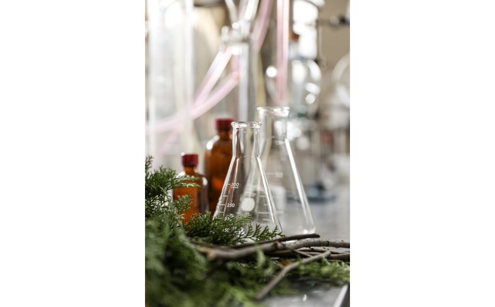 æ¥å§«ãšåå€å±å ã«ãŒã ãã¬ã°ã©ã³ã¹ãã¹ã