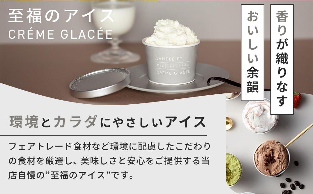 【世界ジェラート騎士手作りの】至福のアイス　８個入り