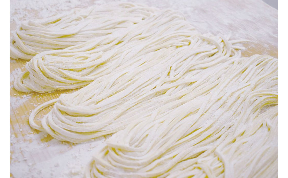 半生うどん8食セット（ボトルだし醤油付）