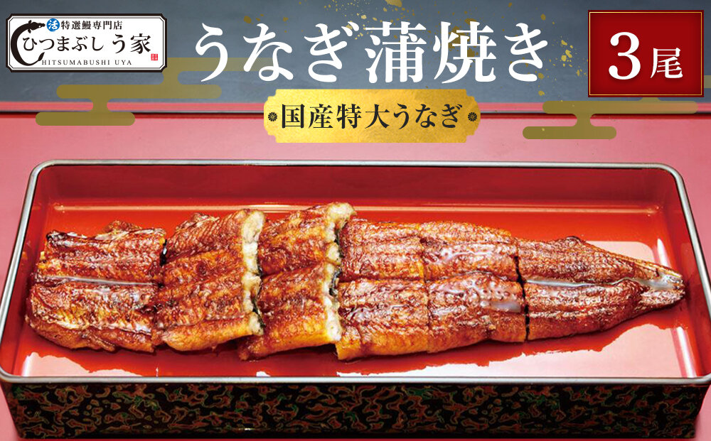 国産特大うなぎ蒲焼き（３尾）