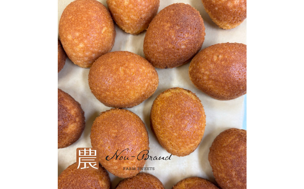 蜷榊商螻九さ繝シ繝√Φ蜊オ縲繧ォ繧ケ繝繝ゥシ10蛟句・繧奇シ