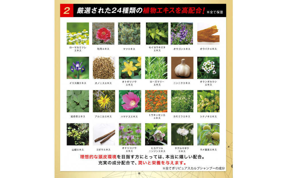 ポリピュアEX スカルプシャンプー 350ml 1本 医薬部外品 男性用 女性用 ノンシリコン コンディショナー不要 薬用シャンプー 