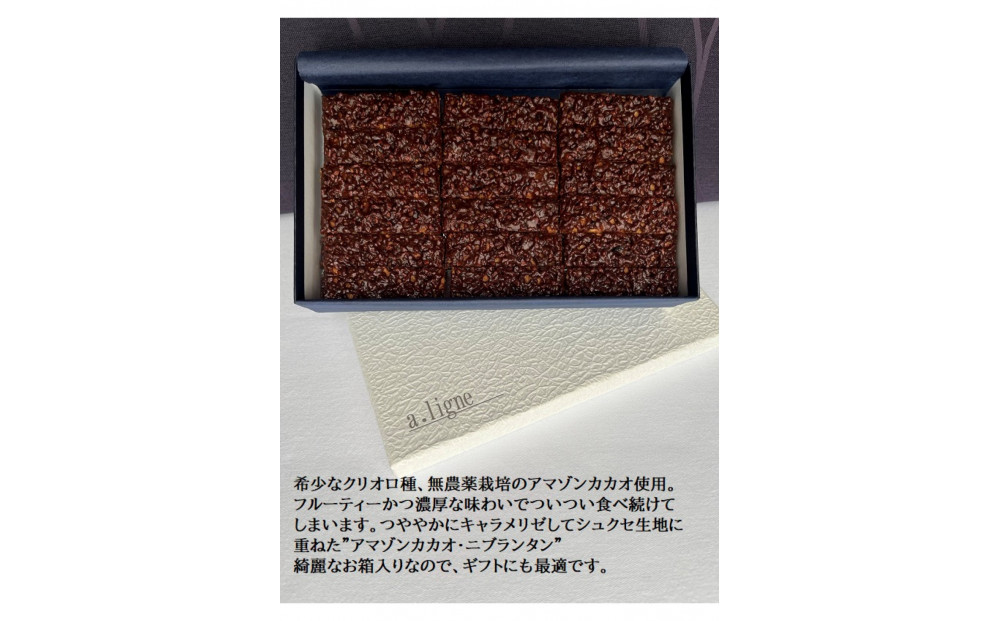 アマゾンカカオ・ニブランタン36本入り