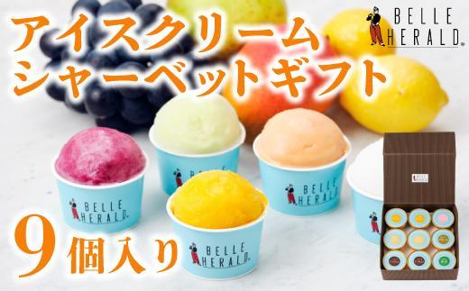 【バラエティセット】人気のアイスクリーム・シャーベット９個入り詰合せ　食べ比べ スイーツ