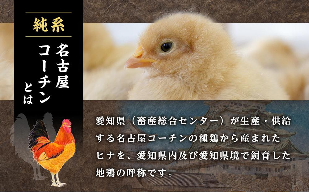 çŽç³»åå€å±ã³ãŒãã³ã豪è¯çèã»ãã