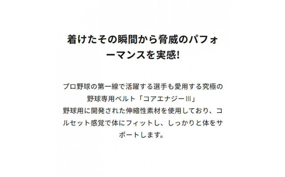 コアエナジー３ ブラック シルバー