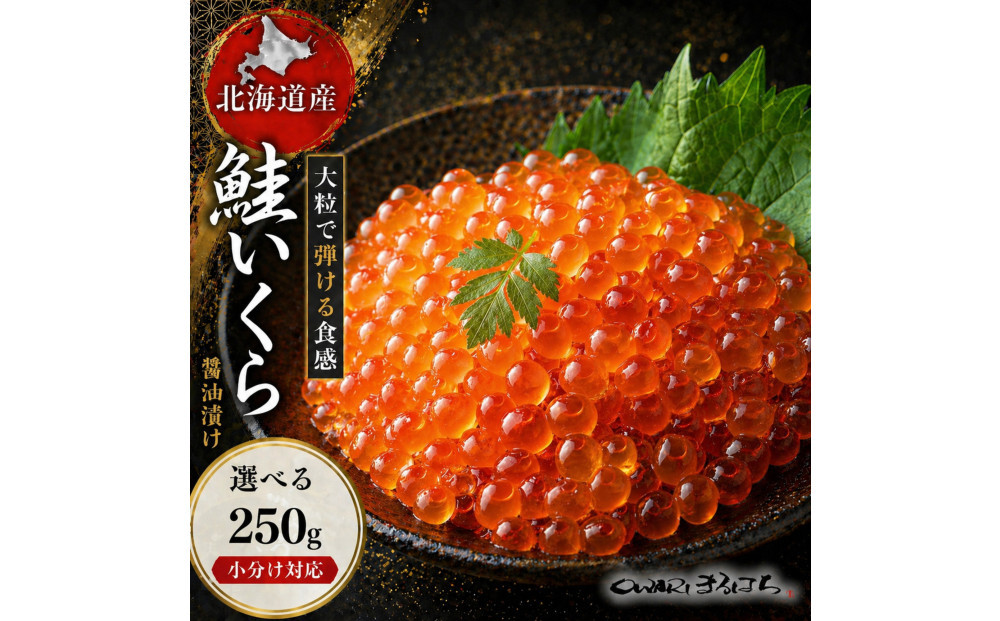いくら 醤油漬け 250g×1P 北海道 鮭卵 訳あり 冷凍 尾張まるはち