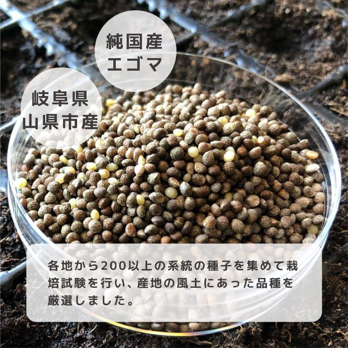 タネから開発した国産エゴマ油100g×3本　毎日のオメガ3脂肪酸摂取に