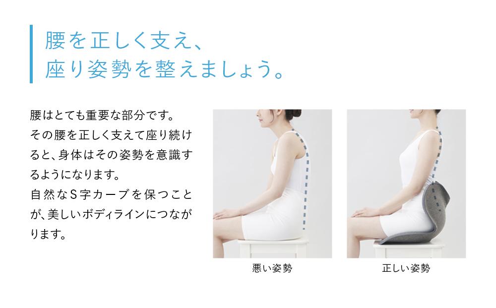 Style Standard【ブラックN01 生地無し仕様】 | スタイルスタンダード 姿勢サポート 骨盤ケア 姿勢矯正 椅子 チェア 腰痛対策 体幹サポート 健康器具 人気 おすすめ 美姿勢 送料無料 名古屋市