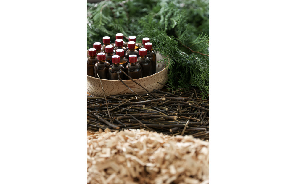 æ¥å§«ãšåå€å±å ã«ãŒã ãã¬ã°ã©ã³ã¹ãã¹ã