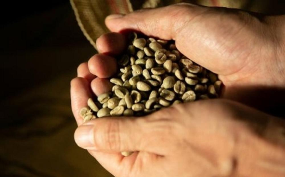 ＼年末感謝祭／珈琲浪漫有機無糖アイスコーヒー１Ｌ×12本  【今だけ特別規格】 | 名古屋市 ふるさと納税 感謝祭 コーヒー 珈琲 アイスコーヒー 濃いコーヒー 老舗  濃厚 無糖 飲料 人気 おすすめ カフェ ドリンク コーヒー豆 深煎り ストレート アイスドリンク ギフト プレゼント 送料無料