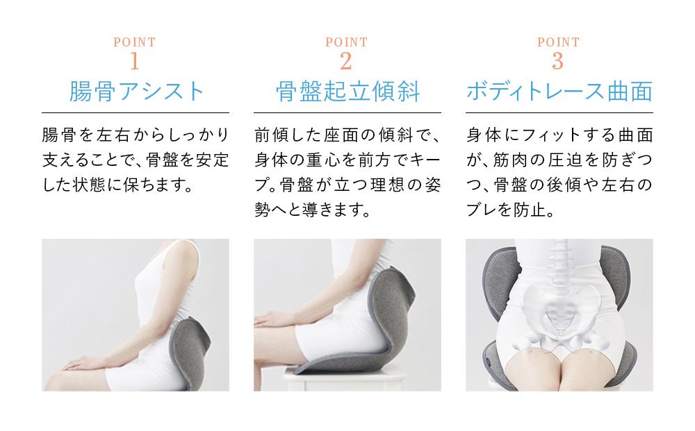 Style Standard【ブラックN01 生地無し仕様】 | スタイルスタンダード 姿勢サポート 骨盤ケア 姿勢矯正 椅子 チェア 腰痛対策 体幹サポート 健康器具 人気 おすすめ 美姿勢 送料無料 名古屋市