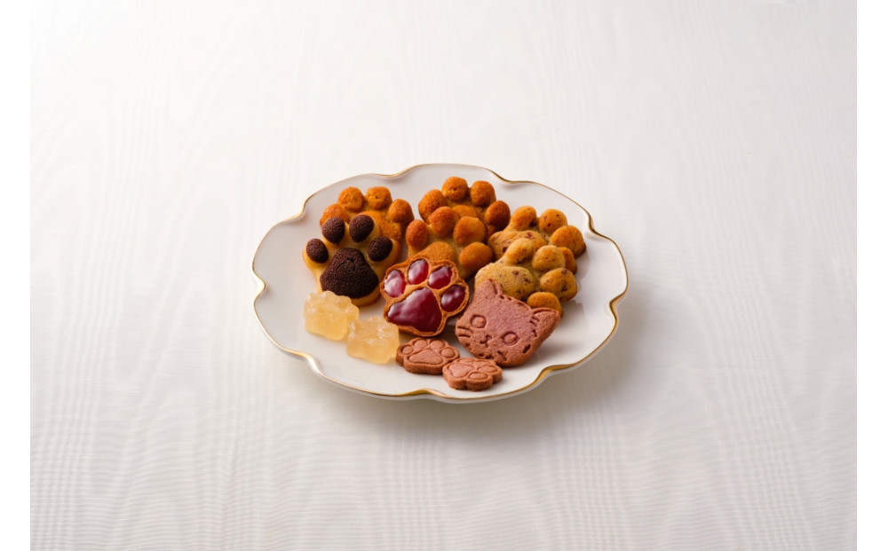 繝√ぉ繧キ繝」迪ォ縺ョ閧臥帥郛カ