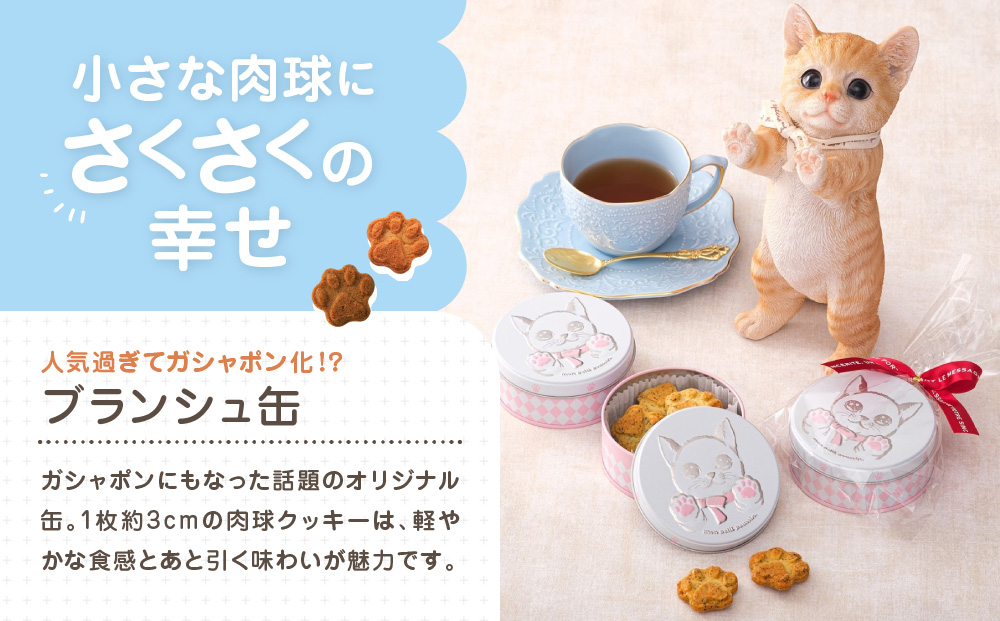 子猫のブランシュ缶クッキー　エスプレッソ