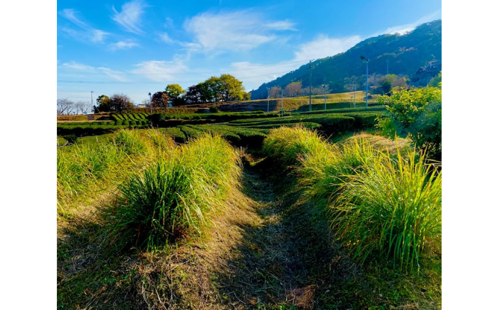 レモングラス ルームフレグランスミスト