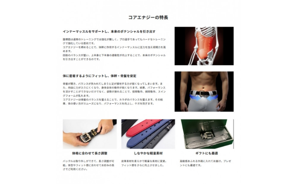 コアエナジー３ ブラック シルバー