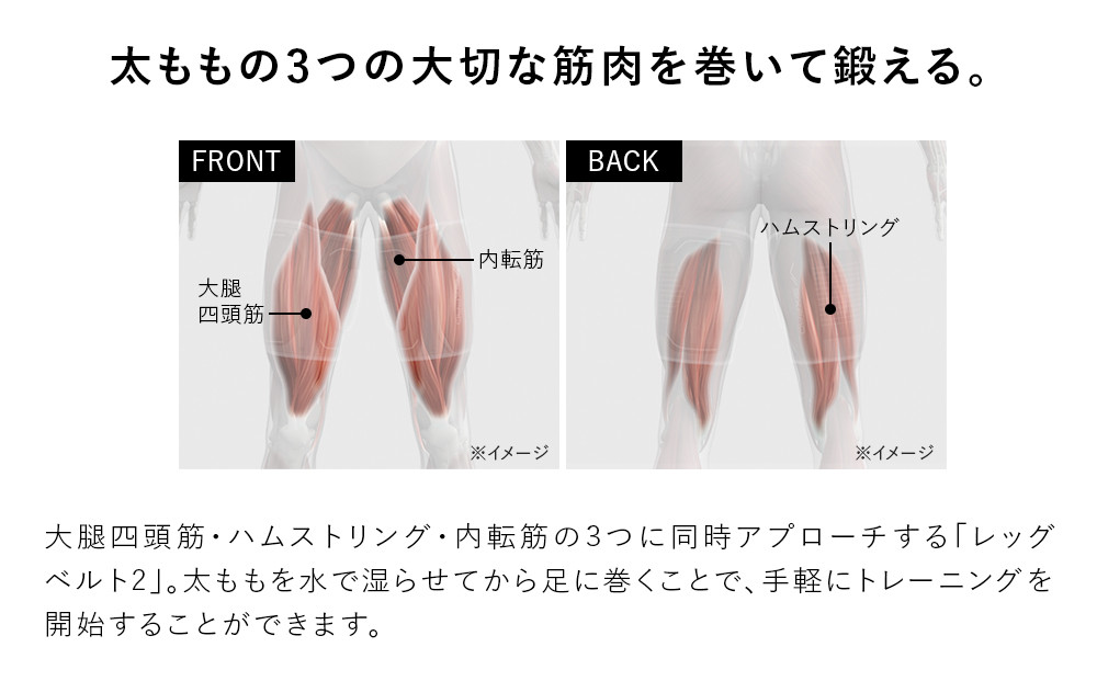 SIXPAD Leg Belt 2ãM-Lãµã€ãºã ã·ãã¯ã¹ããã ã¬ãã°ãã«ã çã㬠家é»