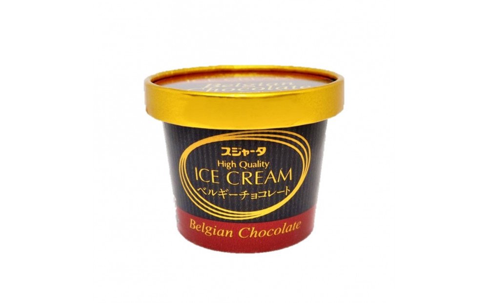 アイス 11個 詰合せ【チョコ入り】 シンカンセンスゴイカタイアイス
