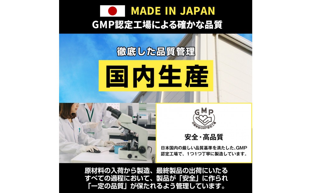 ハルクファクター マルチビタミン マルチミネラル 90粒 22種 サプリ  国産 亜鉛 マカ 乳酸菌 エナジー 特許 栄養機能食品 