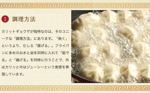 カリットギョウザ 生餃子 48ケ【6人前】ジューシー 大きい 餃子 冷凍餃子 冷凍生餃子 