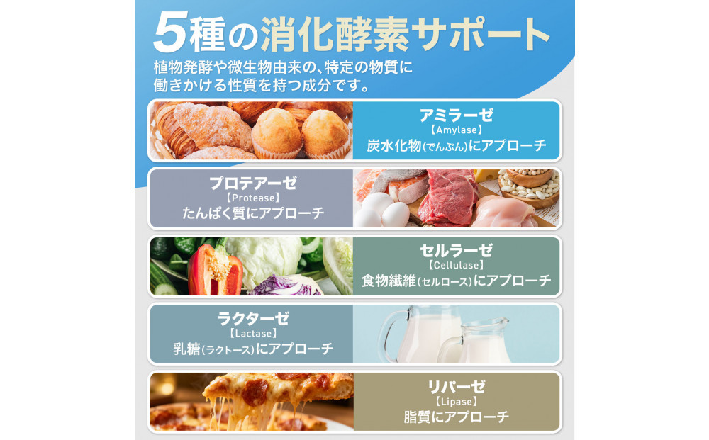 ハルクファクター グルテン分解乳酸菌 GL-CUT 120粒 植物性カプセル ディグルラクト 韓国特許成分 ビフィズス菌 エラグ酸 生酵母 カテキン サラシア 国内製造 サプリメント