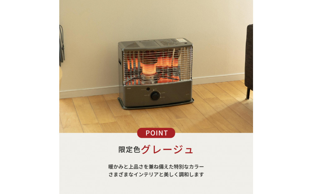 ããšãããåå°åœ¢ç³æ²¹ã¹ããŒã RS-NW30(HC:ã°ã¬ãŒãžã¥)ã