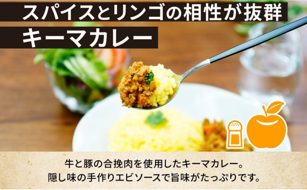 コーノスパイス キーマカレー 200g×3パック スパイスカレー 合挽肉  エビソース 小麦粉不使用 グルテンフリー スパイシー カレーライス CONO SPICE コーノコーラ 愛知県 名古屋市