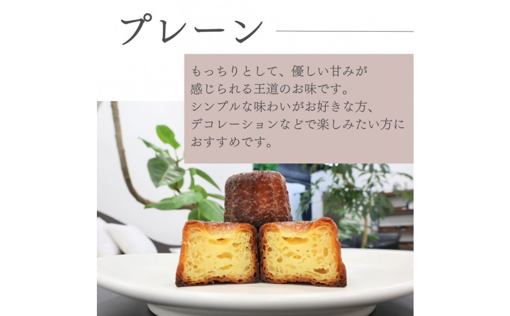 ãæãäžã«ã㬠ãã¬ãŒã³10åå
¥ãããã©ã³ã¹ã®çŒãèå ã¹ã€ãŒã çŸå³ãã ãããã å·å æç¥ç äººæ° é«çŽ