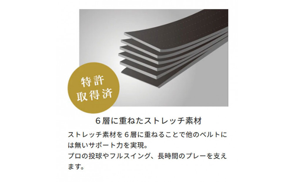 コアエナジー３ ブラック シルバー