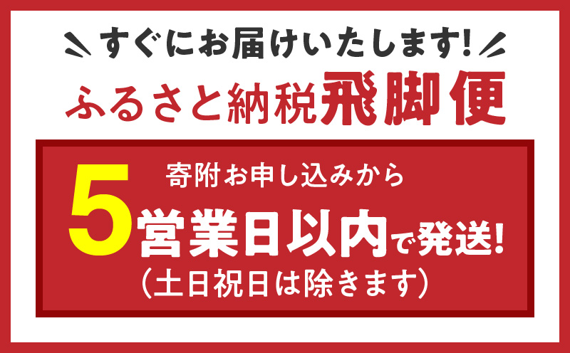 愛知県産コシヒカリ 10kg(5kg×2袋)　安心安全なヤマトライス　H074-549