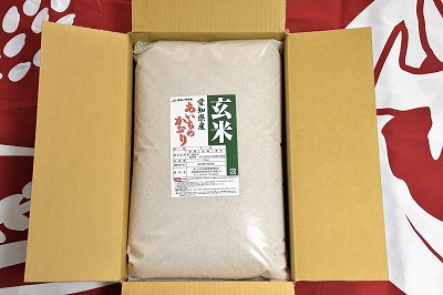 【定期便】愛知県産 あいちのかおり 玄米 10kg×12回（計120kg） H017-085