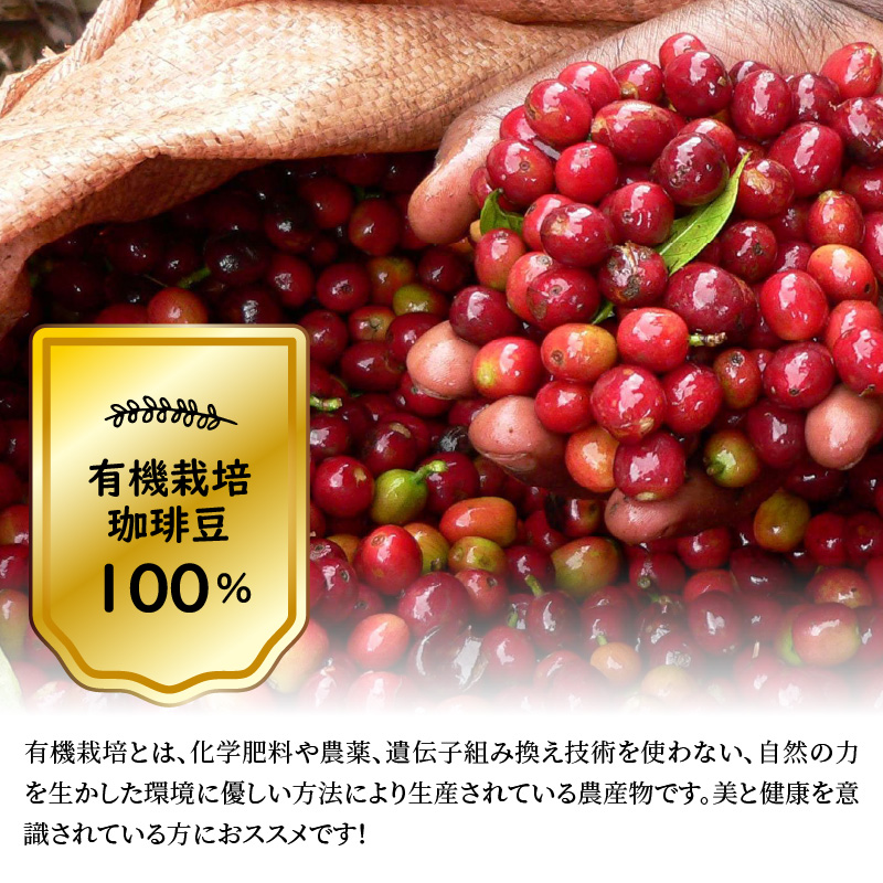 希少！有機栽培の豆100％　ドリップバッグコーヒー ご家庭用(ホット30パックセット)　H046-035