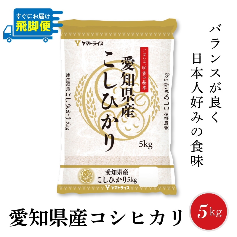 【すぐにお届け&日時指定可】 愛知県産コシヒカリ 5kg　こめ コメ ごはん 安心安全なヤマトライス 米 白米 国産 精米 5キロ　H074-607