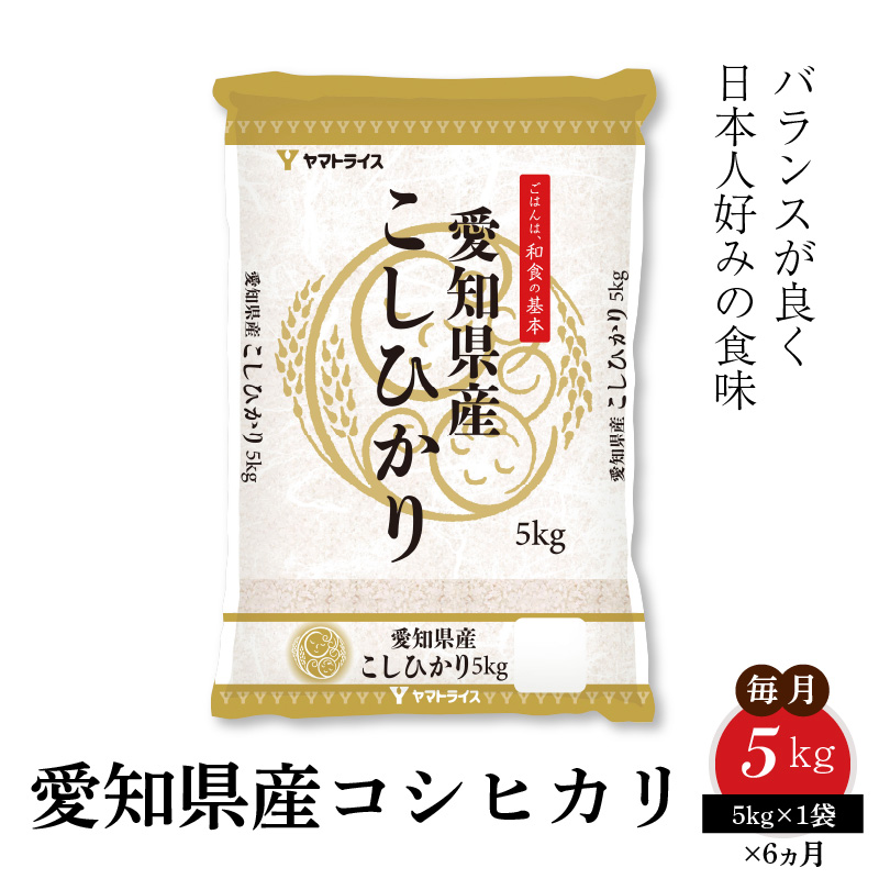 愛知県産コシヒカリ 5kg　※定期便6回　こめ コメ ごはん 安心安全なヤマトライス 米 白米 国産 精米 5キロ　H074-611