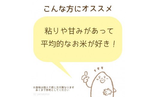 愛知県産コシヒカリ 5kg　※定期便6回　こめ コメ ごはん 安心安全なヤマトライス 米 白米 国産 精米 5キロ　H074-697