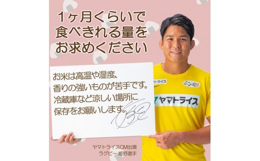愛知県産コシヒカリ 5kg　※定期便6回　こめ コメ ごはん 安心安全なヤマトライス 米 白米 国産 精米 5キロ　H074-697