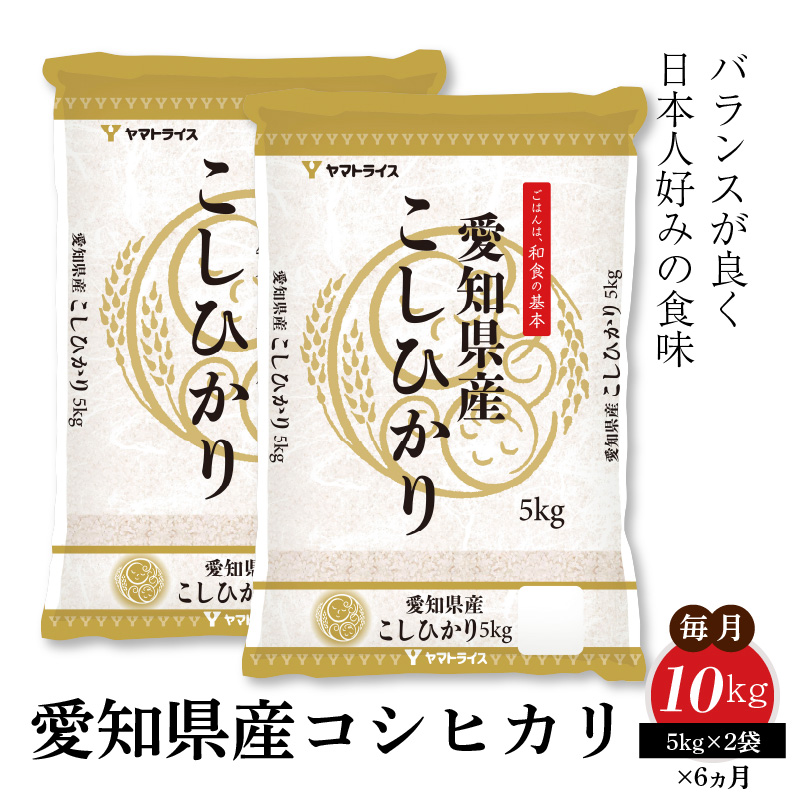 愛知県産コシヒカリ 10kg(5kg×2袋)　※定期便6回　こめ コメ ごはん 安心安全なヤマトライス 米 白米 国産 精米 10キロ　H074-698
