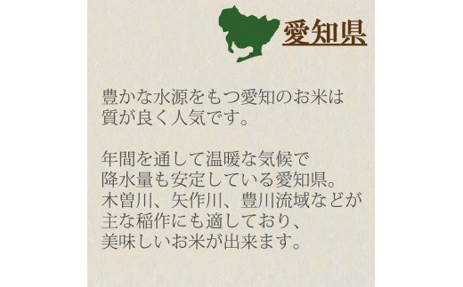 愛知県産コシヒカリ 10kg(5kg×2袋)　※定期便6回　安心安全なヤマトライス　H074-553