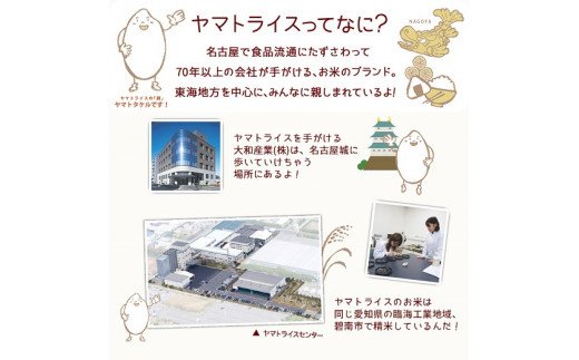 愛知県産コシヒカリ 10kg(5kg×2袋)　※定期便6回　こめ コメ ごはん 安心安全なヤマトライス 米 白米 国産 精米 10キロ　H074-612