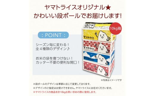 愛知県産コシヒカリ 10kg(5kg×2袋)　※定期便6回　こめ コメ ごはん 安心安全なヤマトライス 米 白米 国産 精米 10キロ　H074-612