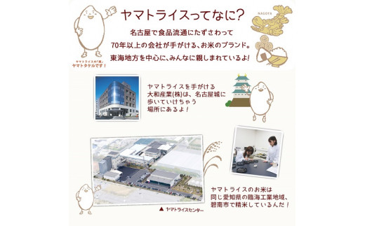 愛知県産コシヒカリ 10kg(5kg×2袋)　※定期便12回　こめ コメ ごはん 安心安全なヤマトライス 米 白米 国産 精米 10キロ　H074-614