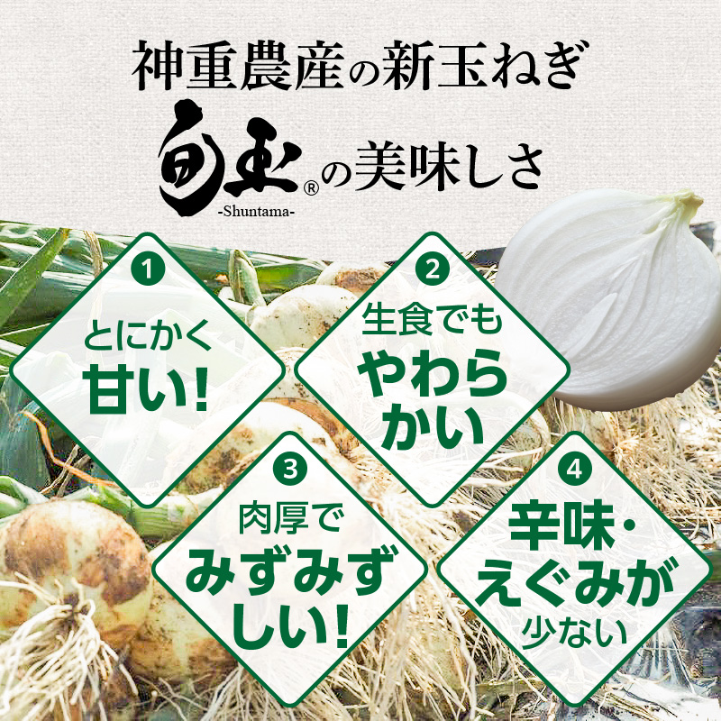 【事前予約】新玉ねぎ 食べ比べ定期便 生がおいしい 神重農産のブランド玉ねぎ「旬玉」5kg×4回　H105-128