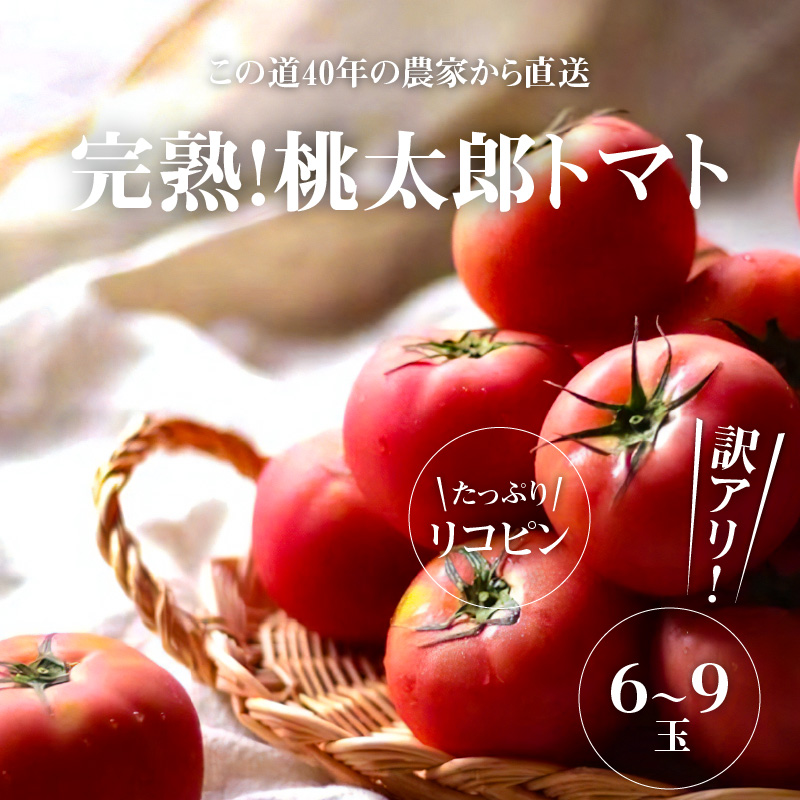 訳あり この道40年の農家から直送 完熟！桃太郎トマト6～9玉　H139-019
